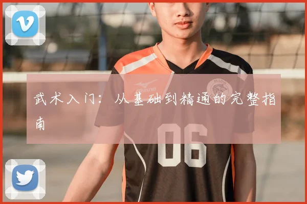武术入门：从基础到精通的完整指南